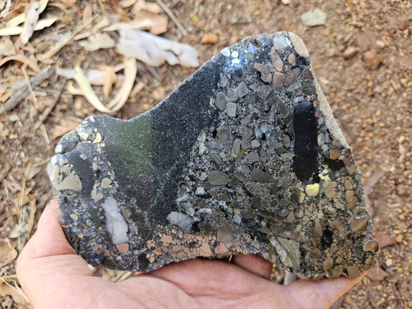 Polished Beaton's Creek auriferous conglomerate slab BC116