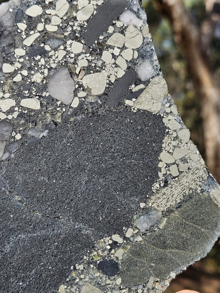 Polished Beaton's Creek auriferous conglomerate slab BC118