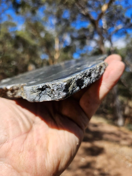 Polished Beaton's Creek auriferous conglomerate slab BC118