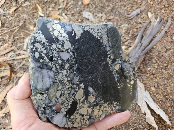 Polished Beaton's Creek auriferous conglomerate slab BC118