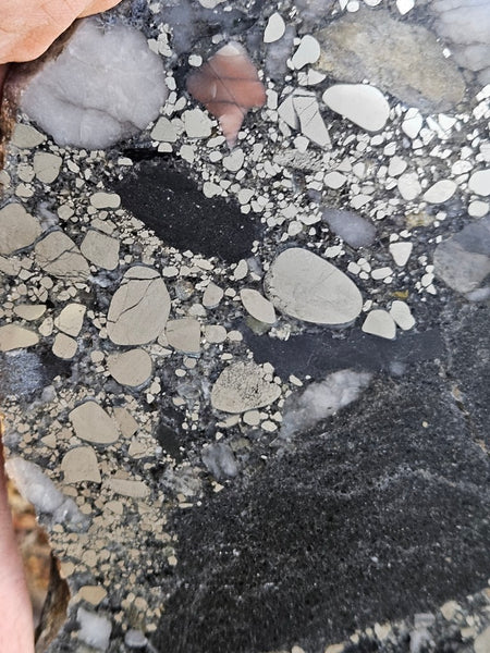 Polished Beaton's Creek auriferous conglomerate slab BC118