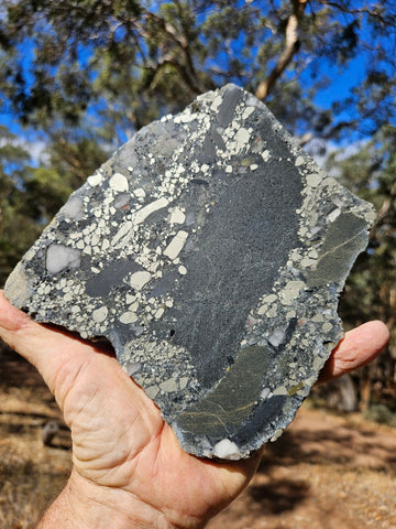 Polished Beaton's Creek auriferous conglomerate slab BC119