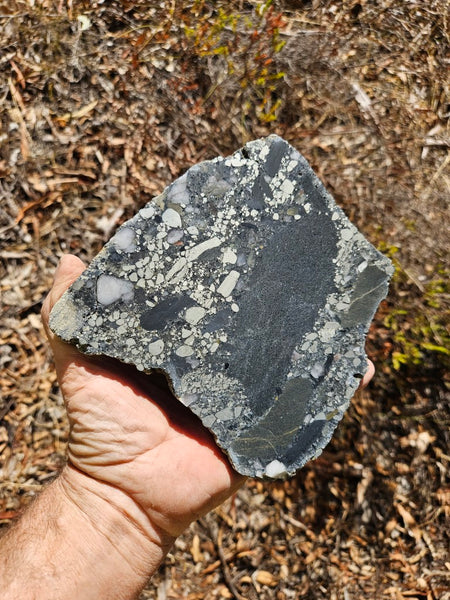Polished Beaton's Creek auriferous conglomerate slab BC119