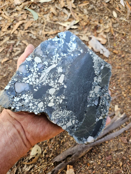 Polished Beaton's Creek auriferous conglomerate slab BC119