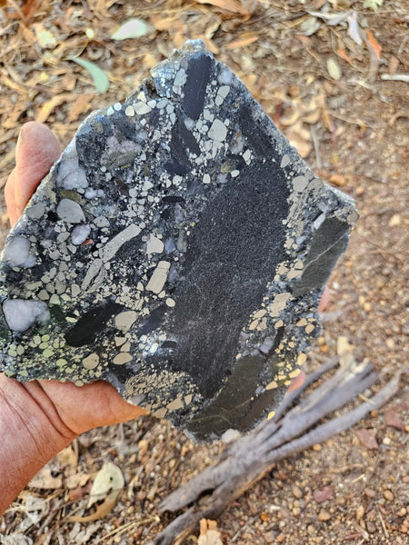Polished Beaton's Creek auriferous conglomerate slab BC119