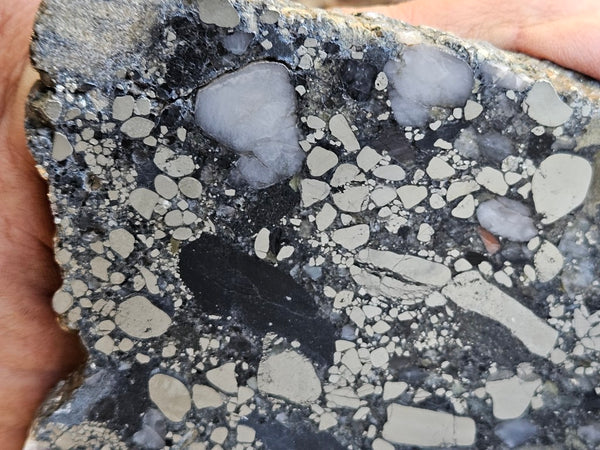 Polished Beaton's Creek auriferous conglomerate slab BC119