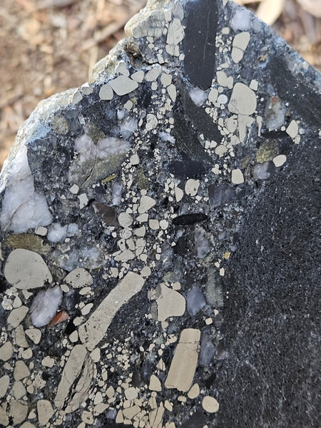 Polished Beaton's Creek auriferous conglomerate slab BC119