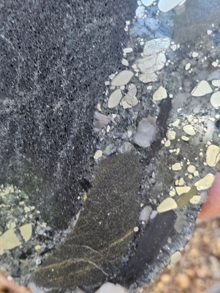 Polished Beaton's Creek auriferous conglomerate slab BC119