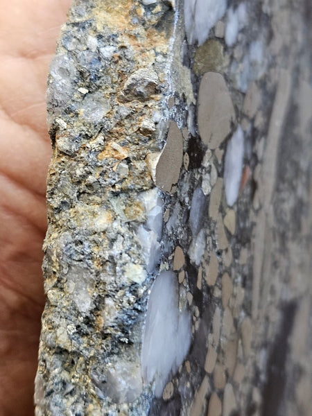 Polished Beaton's Creek auriferous conglomerate slab BC119