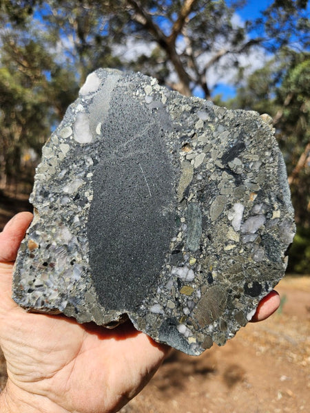 Polished Beaton's Creek auriferous conglomerate slab BC117