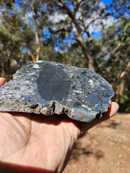 Polished Beaton's Creek auriferous conglomerate slab BC117