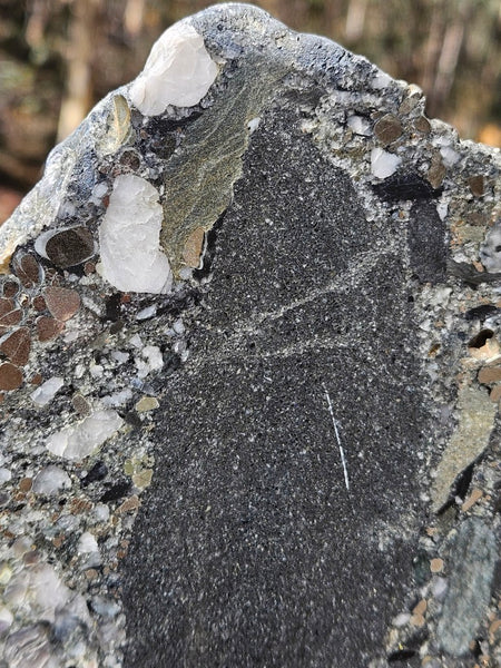 Polished Beaton's Creek auriferous conglomerate slab BC117
