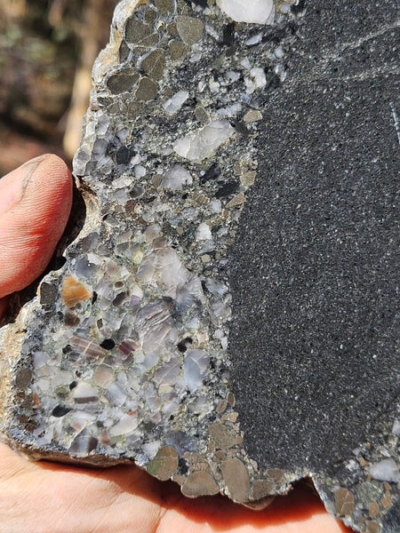 Polished Beaton's Creek auriferous conglomerate slab BC117