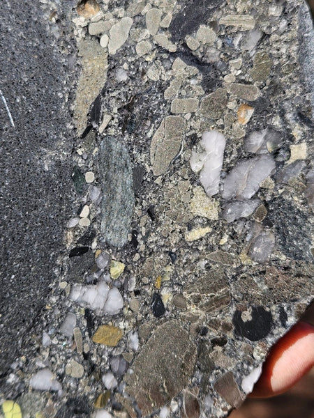 Polished Beaton's Creek auriferous conglomerate slab BC117