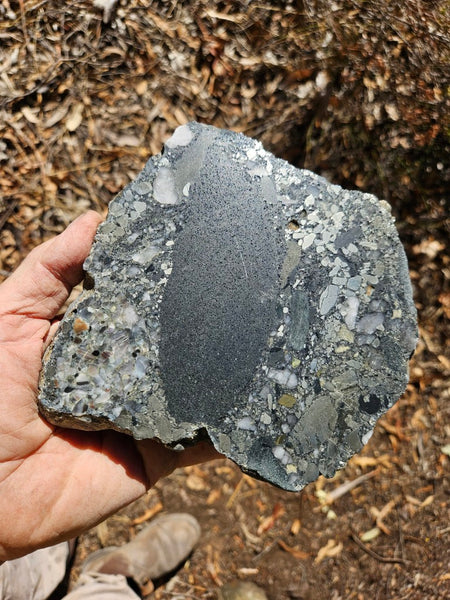 Polished Beaton's Creek auriferous conglomerate slab BC117