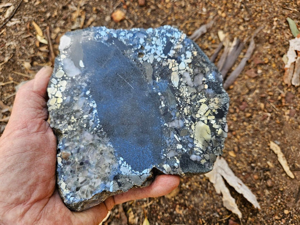 Polished Beaton's Creek auriferous conglomerate slab BC117