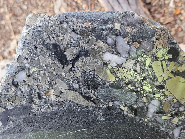 Polished Beaton's Creek auriferous conglomerate slab BC117