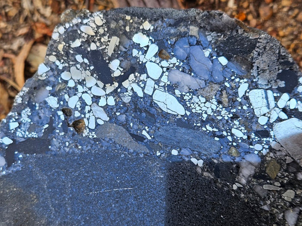 Polished Beaton's Creek auriferous conglomerate slab BC117