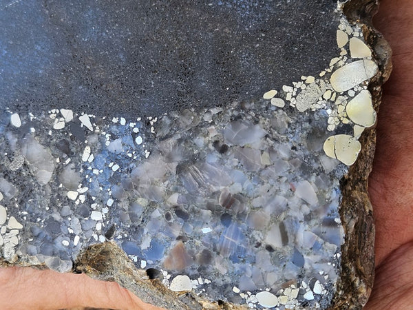 Polished Beaton's Creek auriferous conglomerate slab BC117