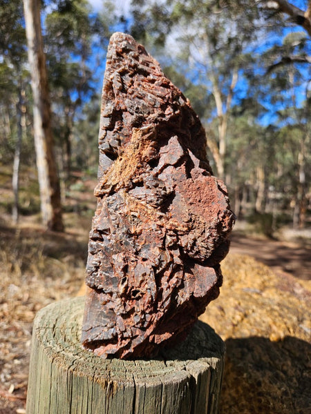 Polished Pilbara Agate PA286