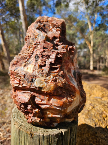 Polished Pilbara Agate PA286