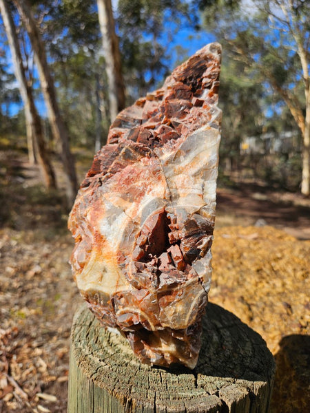 Polished Pilbara Agate PA286