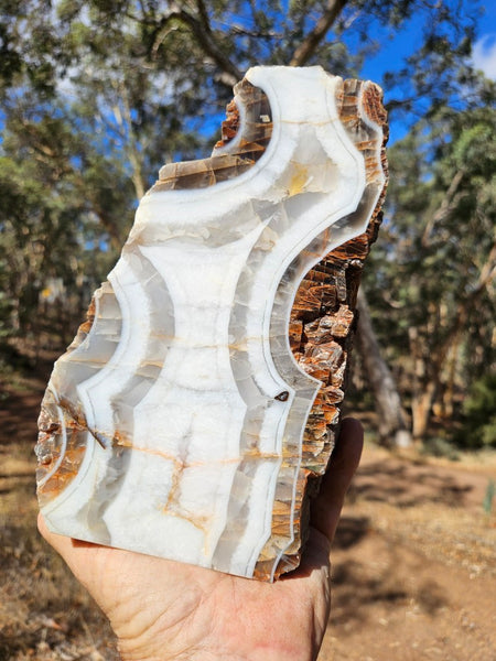 Polished Pilbara Agate PA286