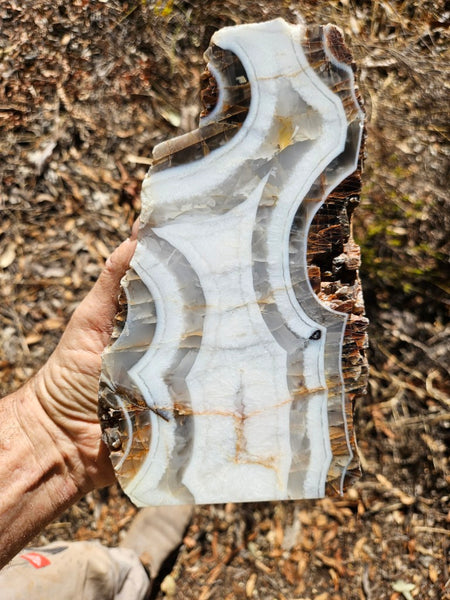 Polished Pilbara Agate PA286