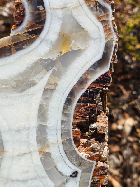 Polished Pilbara Agate PA286