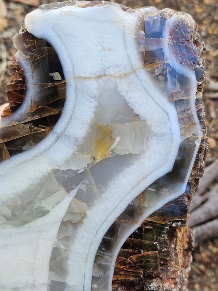 Polished Pilbara Agate PA286