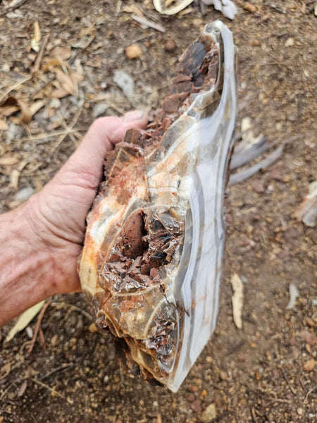 Polished Pilbara Agate PA286