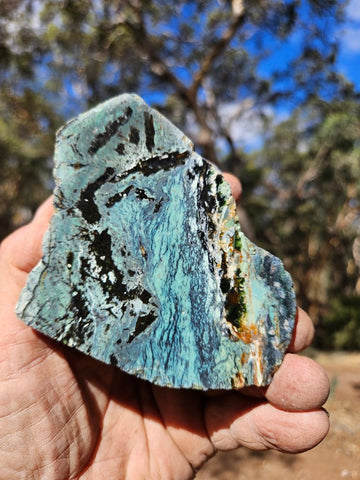 Polished Opalised Serpentine  OPS119