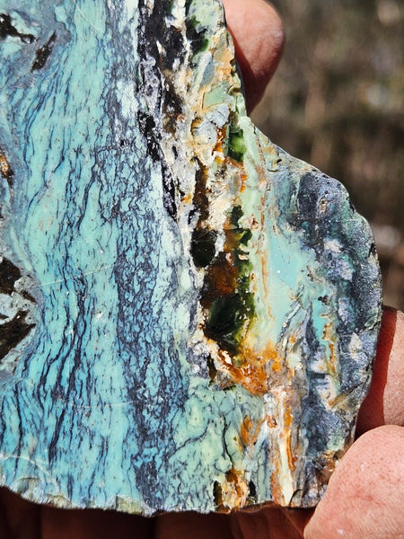 Polished Opalised Serpentine  OPS119