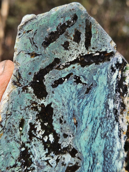 Polished Opalised Serpentine  OPS119
