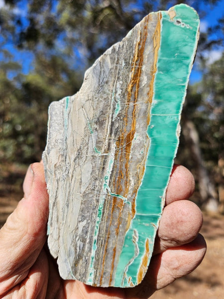 Variscite Polished Slab.  VP 300