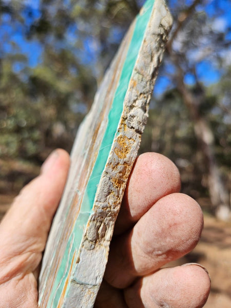Variscite Polished Slab.  VP 300