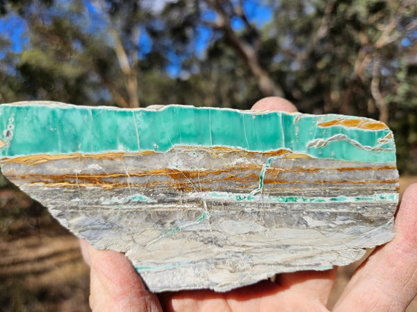 Variscite Polished Slab.  VP 300
