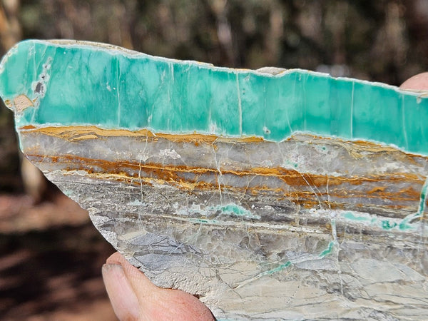 Variscite Polished Slab.  VP 300