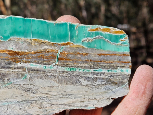 Variscite Polished Slab.  VP 300