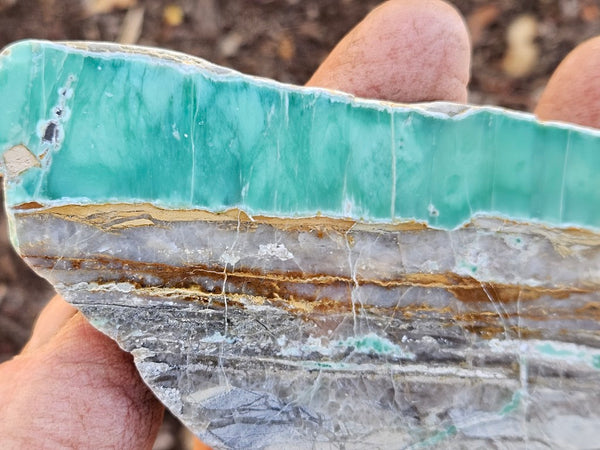 Variscite Polished Slab.  VP 300