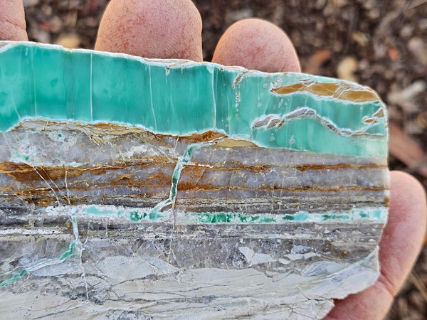 Variscite Polished Slab.  VP 300
