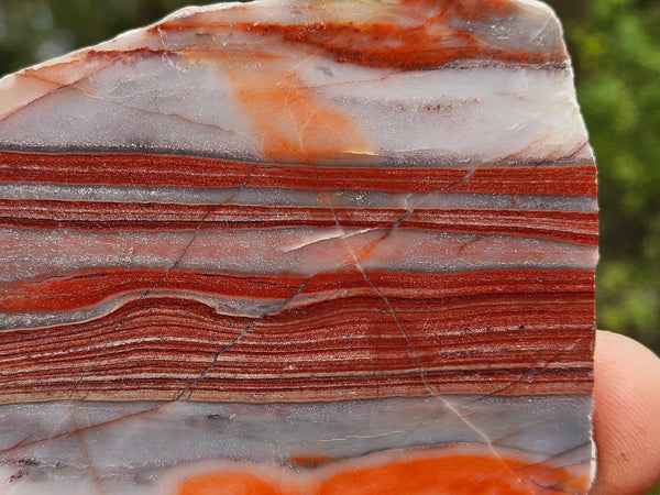 Polished Marble Bar Chert  slab MB121