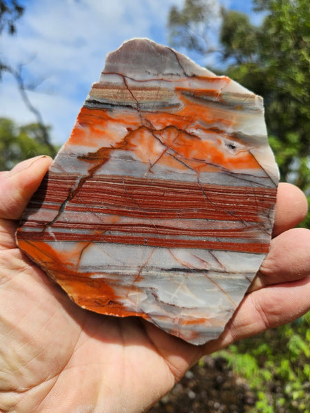 Polished Marble Bar Chert  slab MB122