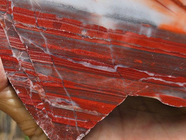 Polished Marble Bar Chert  slab MB123