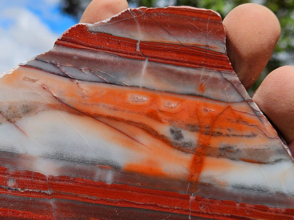 Polished Marble Bar Chert  slab MB123