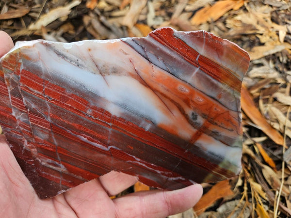 Polished Marble Bar Chert  slab MB123