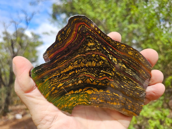 Polished Tiger Iron slab TI394