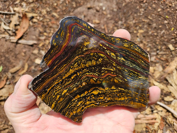 Polished Tiger Iron slab TI394