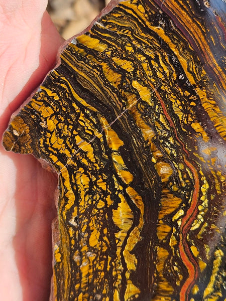 Polished Tiger Iron slab TI394