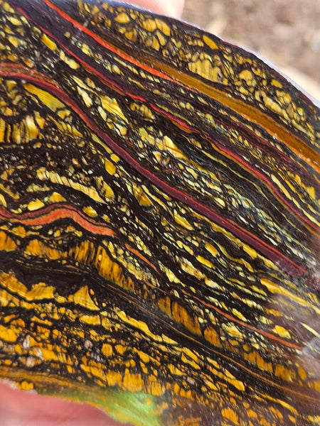 Polished Tiger Iron slab TI394